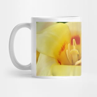 Tulipa 'Gluck' Kaufmanniana Tulip Mug